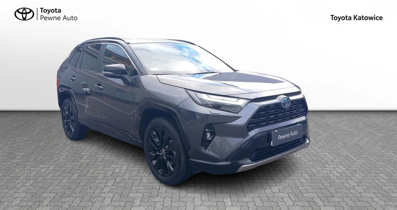 Toyota RAV4 cena 184900 przebieg: 13618, rok produkcji 2022 z Żychlin małe 191